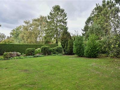 Picture 27